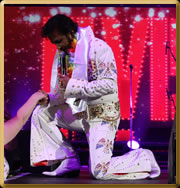 elvis